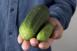 人工阴茎植入手术